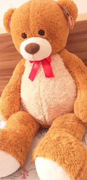 Peluche teddy Géant  Grand et ultra-doux peluche ours gèante pour vos cadeaux d