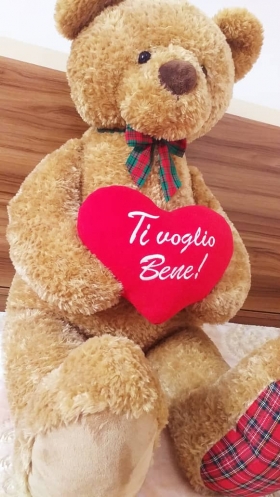 Teddy Géant"Ti Voglio Bene" Magnifique nounours géant teddy "ti voglio bene" pour dire je je t