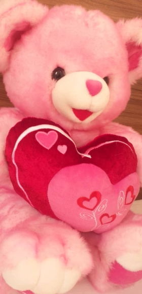 Pink Teddy Love Magnifique nounours teddy rose love de couleur rose avec une douceur etonnante pour exprimer tout votre amour et vos sentiments envers une personne que vous portez au fond de votre coeur.douce et agrable au toucher,propre de grande qualité et d