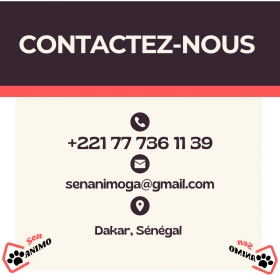 Toilettage de chien à Domicile à Dakar SenAnimo SenAnimo est un service animalier qui offre des services de toilettage à Domicile partout à Dakar. Offrez à votre chien le toilettage qu