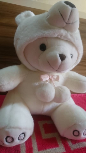 Nounours Soft Teddy Bear Voici une Magnifique Peluche Ours Teddy Bear avec sa douce Couleur Blanche et sa belle Capuche en forme de tête d