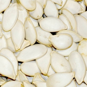 Grain de courges 
Les graines de courges sont riches en protéines, en antioxydants, en vitamines, en minéraux et en fibres alimentaires. Elles ont un index glycémique bas (25) et sont très riches en acide oléique qui permet d