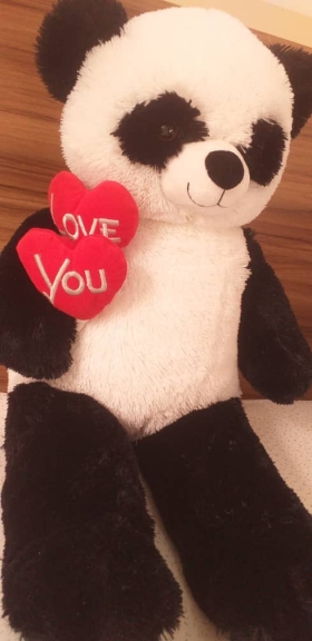 Teddy Cadeau Love Adorables et  douces  peluches ours teddy Love pour vos cadeaux de saint-valentin et pour dire  je  t