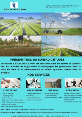 Etude de Projets et conseils en développement de fermes agricoles Le cabinet EAGLECONSULTING est spécialisé dans les études et conseils liés aux activités de l’agriculture. Il accompagne les promoteurs dans la mise en place et le développement de fermes agricoles partout dans le Sénégal.