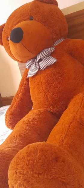 Nounours Geant 160cm Gigantesque et joli nounours teddy avec sa belle couleur marron et sa taille impressionnante pour vous les amoureux des ours en peluches de très grandes tailles.une peluche d’une telle taille n’est pas quelque chose que l’on trouve tous les jours,c