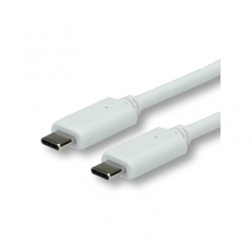 Adaptateur/câble de chargement USB Type-C vers USB Type-C 3.1 Adaptateur/câble de chargement USB Type-C vers USB Type-C 3.1

