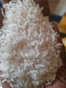 VENTE DE RIZ LOCAL DE QUALITE VENTE DE RIZ LOCAL DE TRES BONNE QUALITE
Découvrez l’authenticité culinaire avec notre riz local " CEEBU WALO", cultivé avec soin pour une saveur inégalée.
Disponible par sac de 25 kg
Faites le choix du riz qui a du goût, qui soutient la communauté locale et qui respecte la planète. 
Commandez dès maintenant
☎  Tél: +221 76 880 45 95

