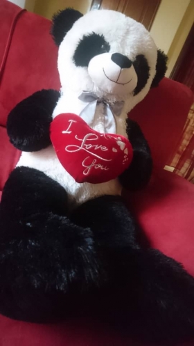 Peluche Panda Geant I love you Voici un Charmant et mignon peluche panda geant"i love you"ultra doux ayant 100cm de hauteur c
