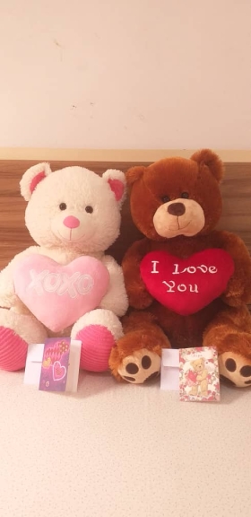Teddy Cadeau Love Adorables et  douces  peluches ours teddy Love pour vos cadeaux de saint-valentin et pour dire  je  t