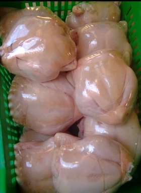 Poulets de chair Des poulets de chair à votre disposition pour la korité.
Des poids variant de  2.8 à 3 kilos.
Faites vos commandes.