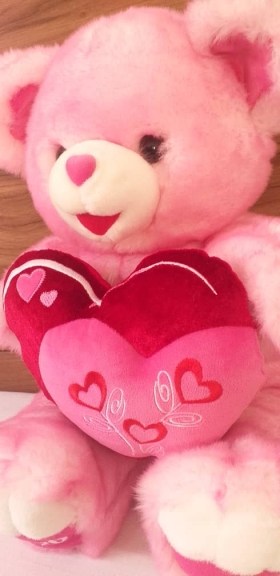Pink Teddy Love