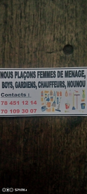 Service domestique Emplacement femme de ménage boys gardien chauffeur nounou partout à Dakar 