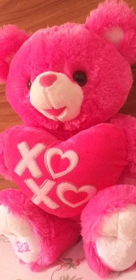 Peluche Rose XOXO  Adorable et migonne peluche ours rose pour ultra douce pour faire passer votre message d