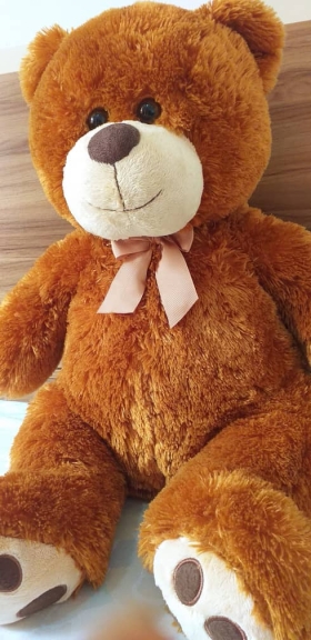 Nounours Soft Teddy Bear  Voici un bel et adorable nounours teddy de 80cm de hauteur remplie de douceur et de tendresse pour les fans des ours en peluche ou pour faire plaisir à un proche. 
ce gros ours en peluche est fait de fourrure douce et avec un peu d